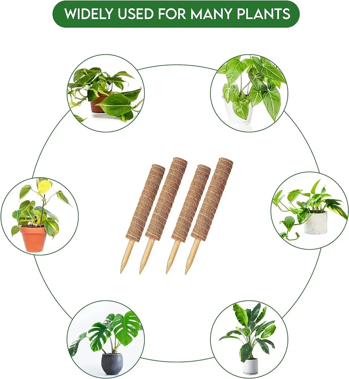 Extendable Handmade Moss Pole for Plants Plant Climbing Rod Plant Pole for Climbing Plants, Real Handmade Moss Stick F