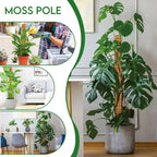 Extendable Handmade Moss Pole for Plants Plant Climbing Rod Plant Pole for Climbing Plants, Real Handmade Moss Stick F