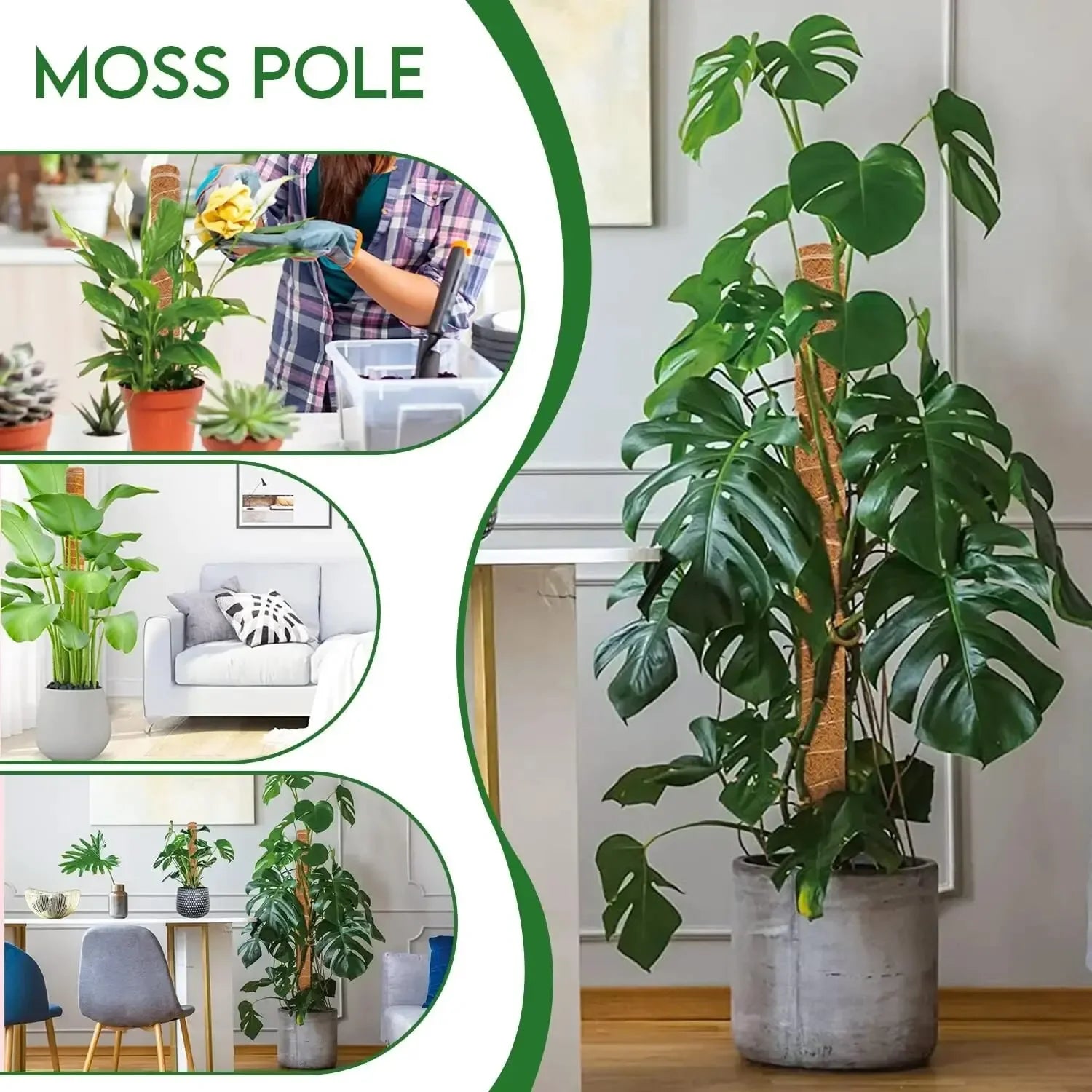 Extendable Handmade Moss Pole for Plants Plant Climbing Rod Plant Pole for Climbing Plants, Real Handmade Moss Stick F