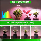 Grow Lights for Indoor Plants - LED Full Spectrum Plant Light for Indoor Plants, Ideal for Small Plants - Perfect Gift & Gardene