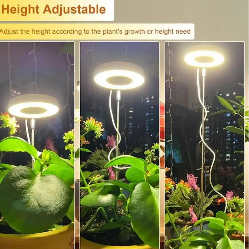 Grow Lights for Indoor Plants - LED Full Spectrum Plant Light for Indoor Plants, Ideal for Small Plants - Perfect Gift & Gardene