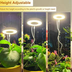 Grow Lights for Indoor Plants - LED Full Spectrum Plant Light for Indoor Plants, Ideal for Small Plants - Perfect Gift & Gardene