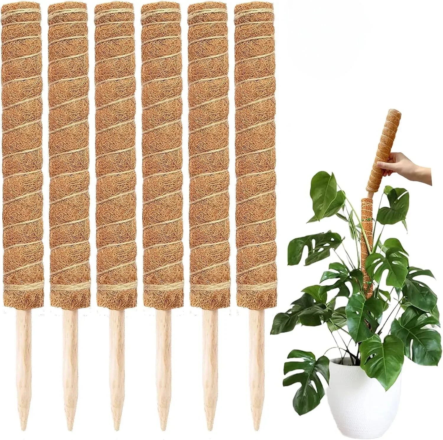 Extendable Handmade Moss Pole for Plants Plant Climbing Rod Plant Pole for Climbing Plants, Real Handmade Moss Stick F