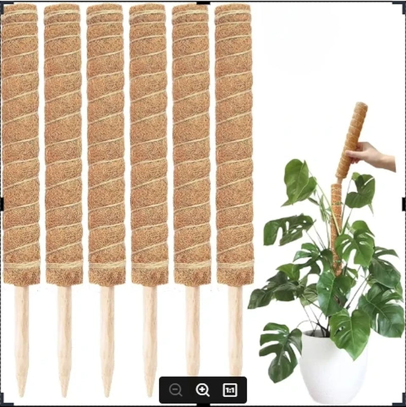 Extendable Handmade Moss Pole for Plants Plant Climbing Rod Plant Pole for Climbing Plants, Real Handmade Moss Stick F